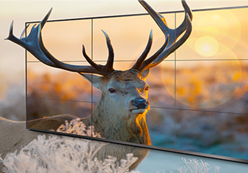 Seis puntos de referencia para la compra de m&aacute;quinas de publicidad LCD
